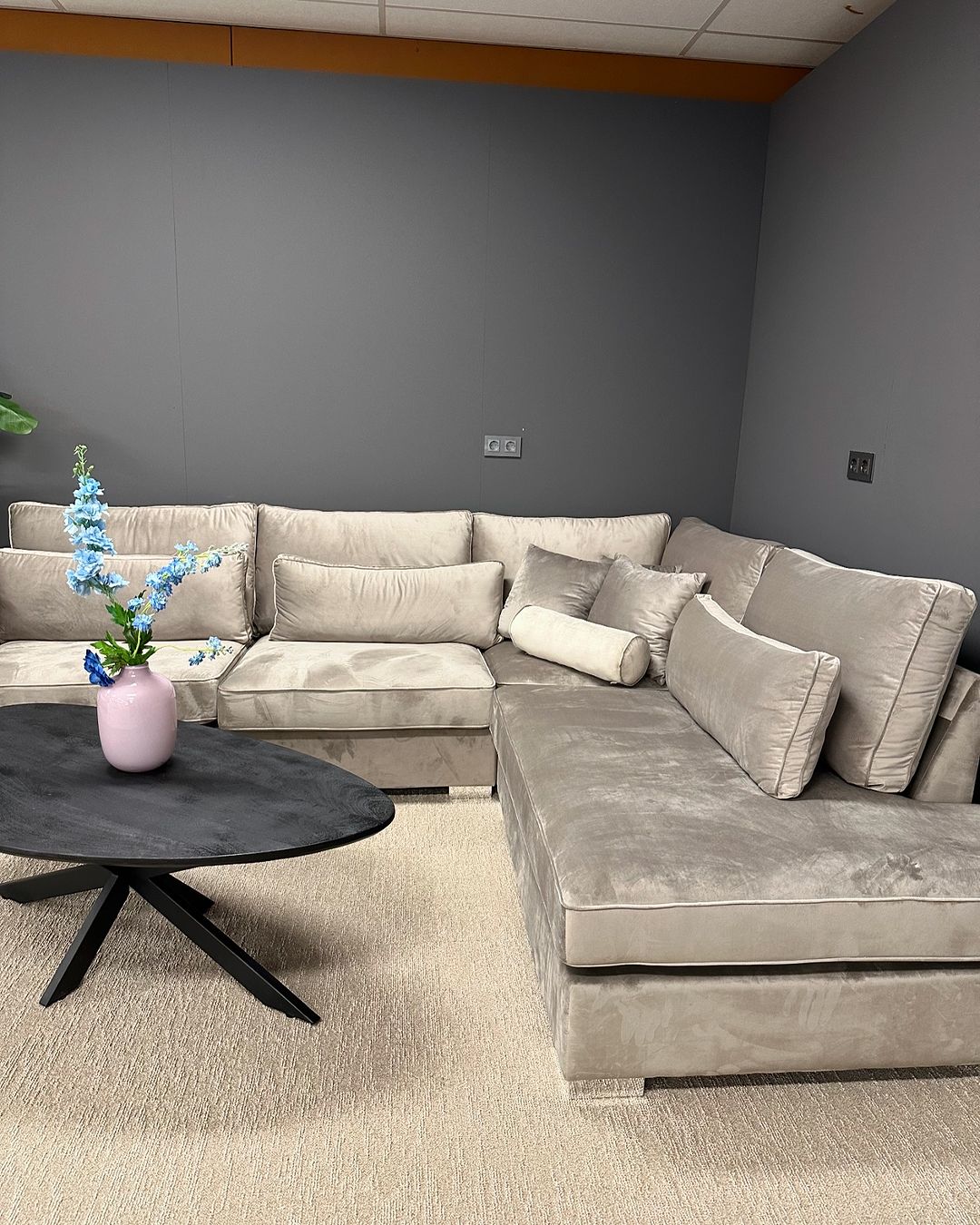 Crescent velvet velours loungebank