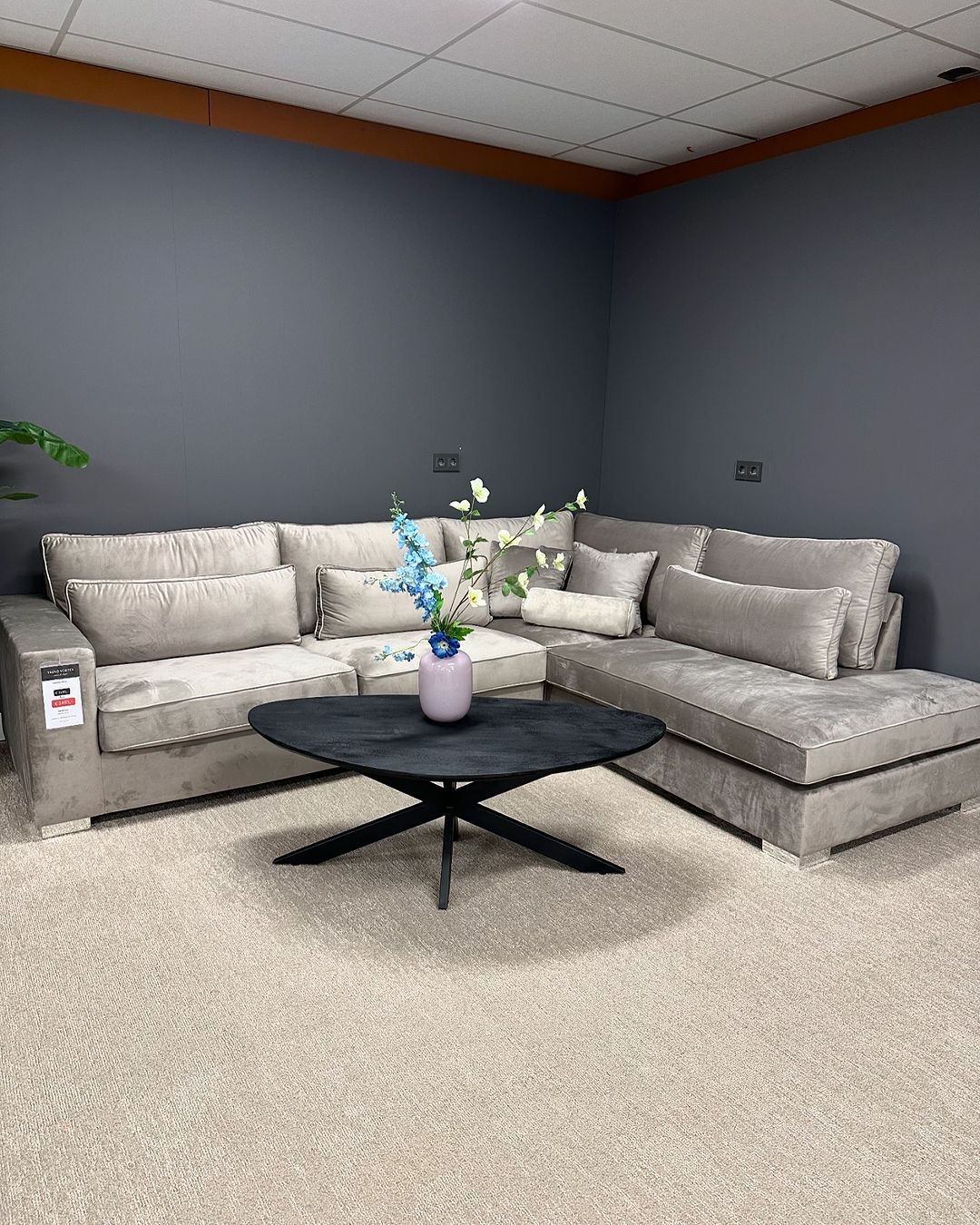 Crescent velvet velours loungebank